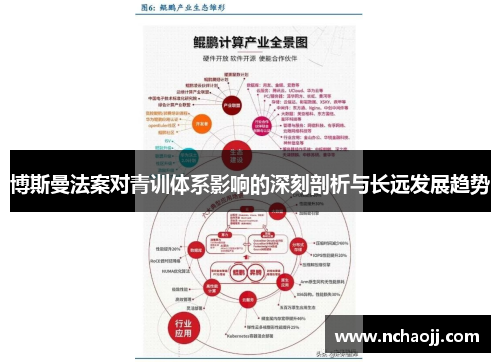 博斯曼法案对青训体系影响的深刻剖析与长远发展趋势