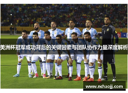 美洲杯冠军成功背后的关键因素与团队协作力量深度解析