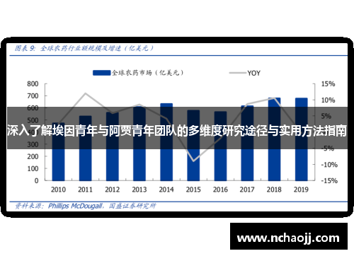 深入了解埃因青年与阿贾青年团队的多维度研究途径与实用方法指南